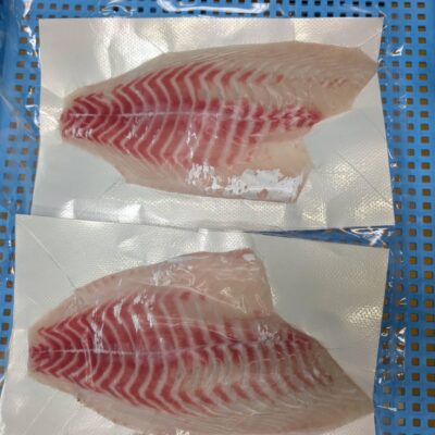 冷凍真鯛魚片