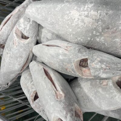 超低溫鮪魚