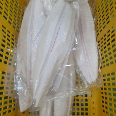 超低溫 油甘魚片